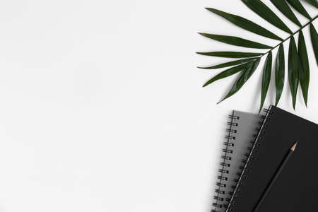 Workspace accessories and a palm leaf on a white table.  Flat lay with blank copy space.の写真素材