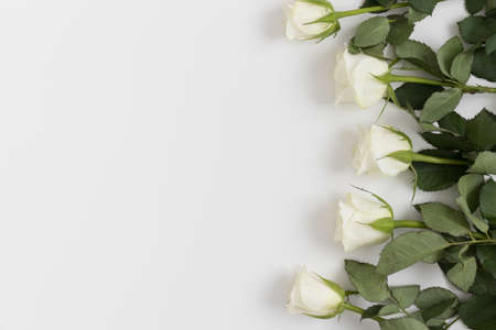 Roses on a white table. Flat lay with blank copy space.の写真素材