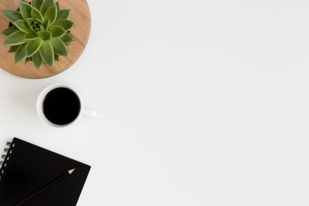 Workspace accessories and a succulent plant on a white table.  Flat lay with blank copy space.