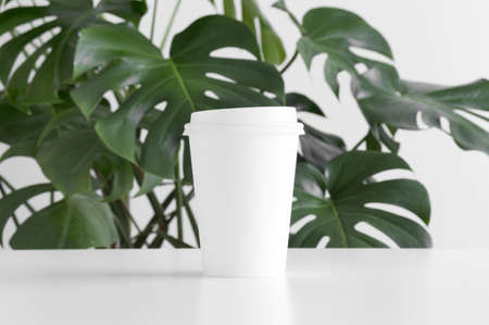Coffee paper cup mockup on a white table with a monstera plant.の写真素材