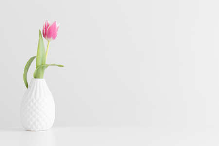 Pink tulip in a vase on a white table with blank copy space.の写真素材