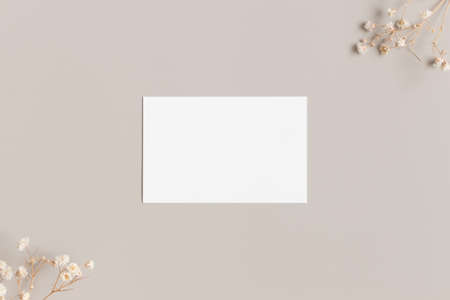 White business card mockup 85x55mm with a gypsophila.の写真素材
