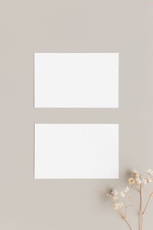 Two white business cards mockup 85x55mm with gypsophila.