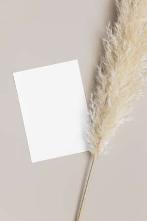 Invitation white card mockup with a pampas grass decoration. 5x7 ratio, similar to A6, A5.の写真素材