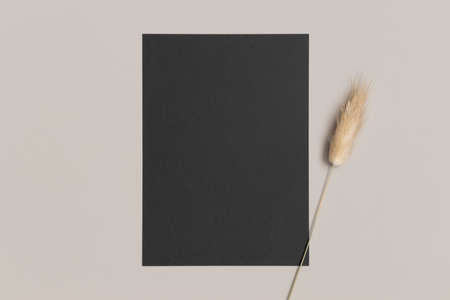 Black invitation card mockup with a lagurus on a beige table. 5x7 ratio, similar to A6, A5.の写真素材