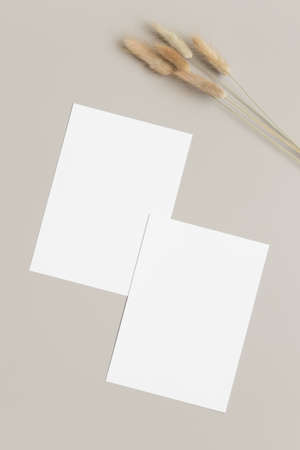 Two white invitation cards mockup with a lagurus decoration on a beige table. 5x7 ratio, similar to A6, A5.の写真素材