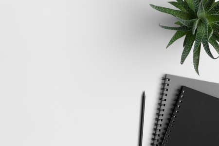 Workspace accessories  and a succulent plant on a white table.  Flat lay with blank copy space.の写真素材
