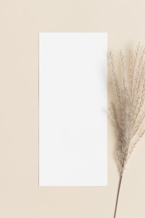 Menu card mockup with a dried reed pampas decoration. 4x9 ratio.の写真素材