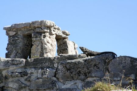 Lizzrad looking up at one of the ruins in Tulum Mexicoの写真素材