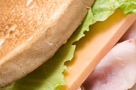 close up of a toasted ham and cheese sandwichの写真素材