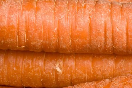 macro shot of the side of fresh ripe orange carrots の写真素材