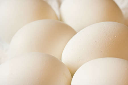 half a dozen eggs on a white napkin nice detailの写真素材