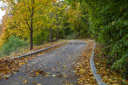 Autumn roadの写真素材