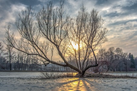 Winter sunset and lakeの写真素材