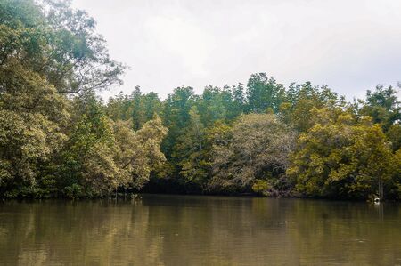 The view beautiful and reflection in water and famous landscape Rayong botanic garden and  attractions travel wetlands and nature, Thailandの写真素材