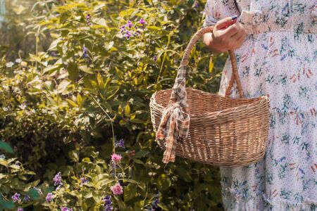 Woman holding basket ready to start picking up herbs and flowers on her garden. Half empty basket. Woman in flowery white colorful dressの写真素材