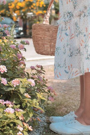 Woman holding basket ready to start picking up herbs and flowers on her garden. Half empty basket. Woman in flowery white colorful dressの写真素材