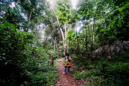 Bamboo hiking stick in hand of woman backpacker hiking in mountains alone outdoor active lifestyle travel adventure vacations hills landscapeの写真素材
