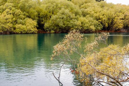 Tree Growing near Lake and Bright Sun in Tree Branches Smooth the river near the plant with trees in the morning autumn dayの写真素材