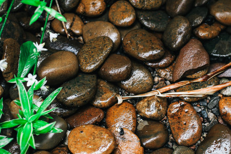 Top-view of brown stone texture in garden with difference color and small green grass texture.Spring...