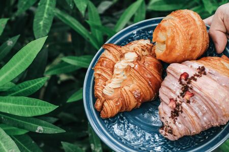 Hand holding blue plate with fresh sweet bake croissants for breakfast over in gardenの写真素材