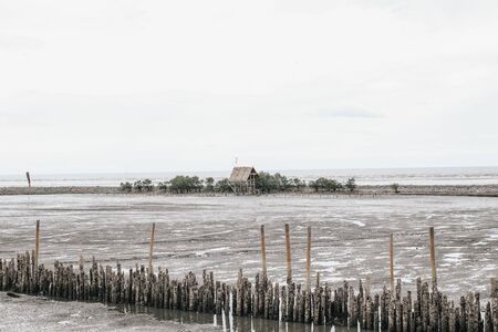 Mangrove roots and water and sand on the shore.Bamboo fence wall is breakwater for protecting the shore and mangrove forest from wave erosion and storm in sea background and sunshine in the morning.の写真素材