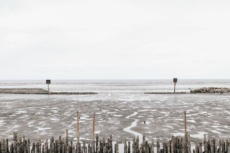 Mangrove roots and water and sand on the shore.Bamboo fence wall is breakwater for protecting the shore and mangrove forest from wave erosion and storm in sea background and sunshine in the morning.の写真素材