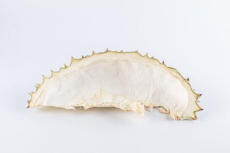 Close up empty half durain  isolated on  whiteの写真素材