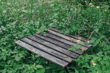 Empty top wooden table in a flower garden (Cosmos flowers) outdoors in the midst of a green garden in the tropical rainy season.の写真素材