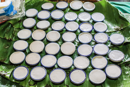 Thai dessert-coconut milk custard or Khanom Thuai in small porcelain cup.Steamed pandan and coconut milk Cake .Made from rice flour. Coconut or coconut sugar, coconut milk and salt,kanom tuayの写真素材