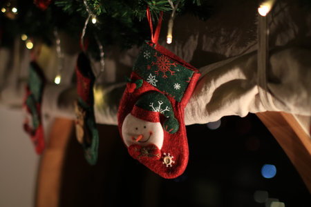 Red Christmas sock hanging on Christmas tree branch. Funny Christmas and New Year at home concept.の写真素材