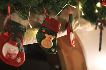 Red and green Christmas sock hanging on Christmas tree branch. Funny Christmas and New Year at home conceptの写真素材