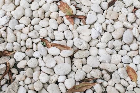 Top-view of white stone texture background in garden.Spring garden in morning sunlight. Decorative...