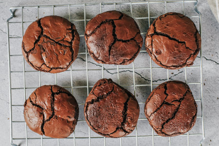 Chocolate brownie cookies. Baked Creamy Dark chocolate chip cookies on white texture background. Morning table. Copy space.の写真素材
