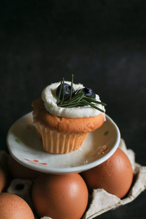 Blueberry and kiwi cupcake with whipped cream on dark background. Close up, delicious festive...