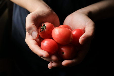 Fresh red tomatoes in hands on dark background. Food, vegetables, agriculture. Selective focus. nature.の写真素材