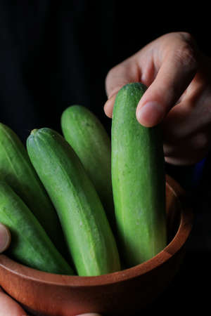 Cucumbers in the hands of farmer, summer vegetable garden in dark background. Local farming, harvesting conceptの写真素材