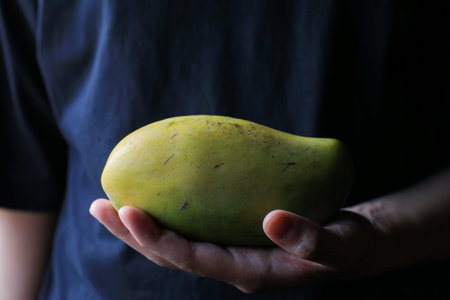 Hands hold mango. Fresh fruit. Tropical fruit for good eating health care.
