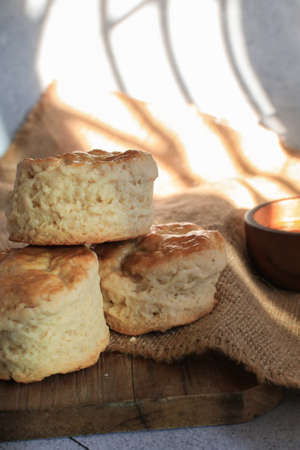 Scones serve with homemade currant jam under sunlight. Fresh yummy tasty delicious English pastry for afternoonの写真素材