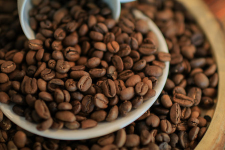Roasted coffee beans in white cup. retro style toned, copy space. Background and texture of roasted coffee beansの写真素材