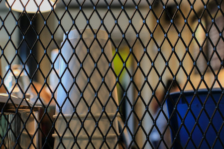 Black Steel Grating structure wall in cafe background. Barrier net metal wall, barbed wire fence,...