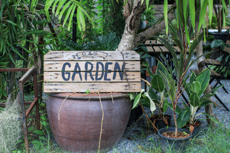 Garden sign on wooden located in a public park. The sign directs visitors around the various types of plants and flowers growing.の写真素材