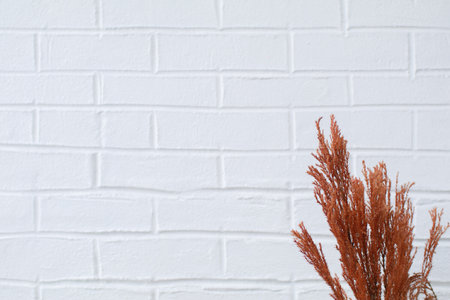 Dried flowers on white background of vintage wooden planks top view horizontal. Floral minimal home interior design concept.の写真素材