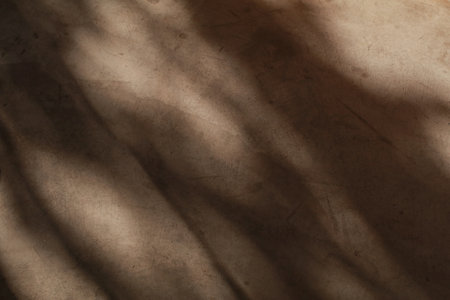 Sunlight shadow on white plaster wall from the window and vegetation on wall. Minimal abstract background and texture.の写真素材