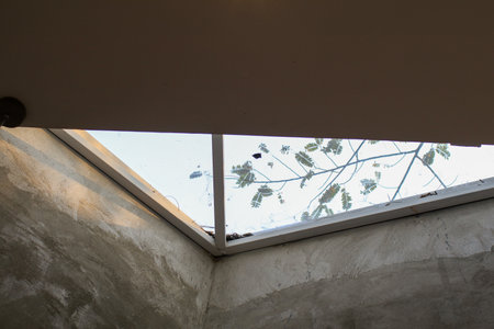 Glass roof ceiling made of natural eco materials and tree view through window. Environment friendly houseの写真素材
