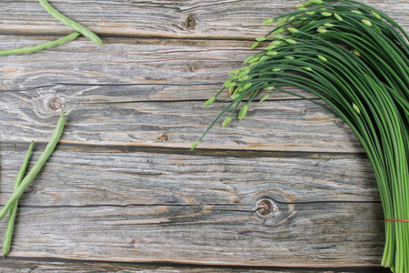 Garlic chives or Allium tuberosum on wooden table background. Fresh healthy organic green vegetable.の写真素材