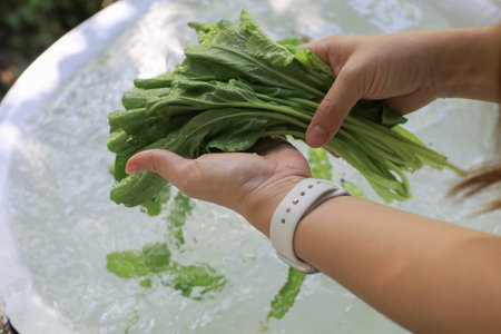 Hands washing vegetables in white basin. Clean ingredient prepare a fresh salad. Healthy food and cleaning before cooking conceptの写真素材