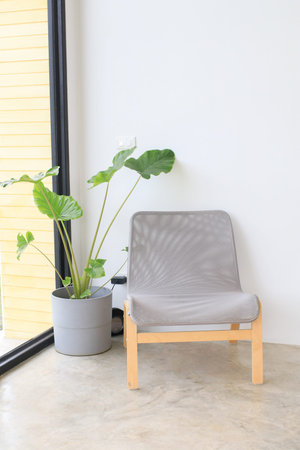 Modern Gray chair with green plant near large window in white concrete room. Minimal living room...