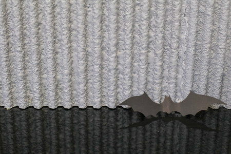 Bat made from black paper cut on counter with cement grey background. Halloween interior home...