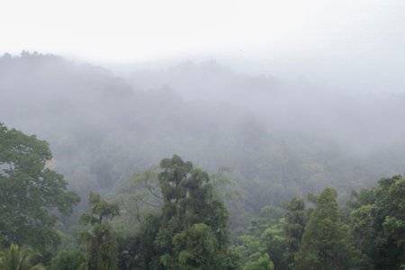 Mountain landscape with fog and forest. sunrise and sunset in mountains, creating an otherworldly and serene ambiance.の写真素材